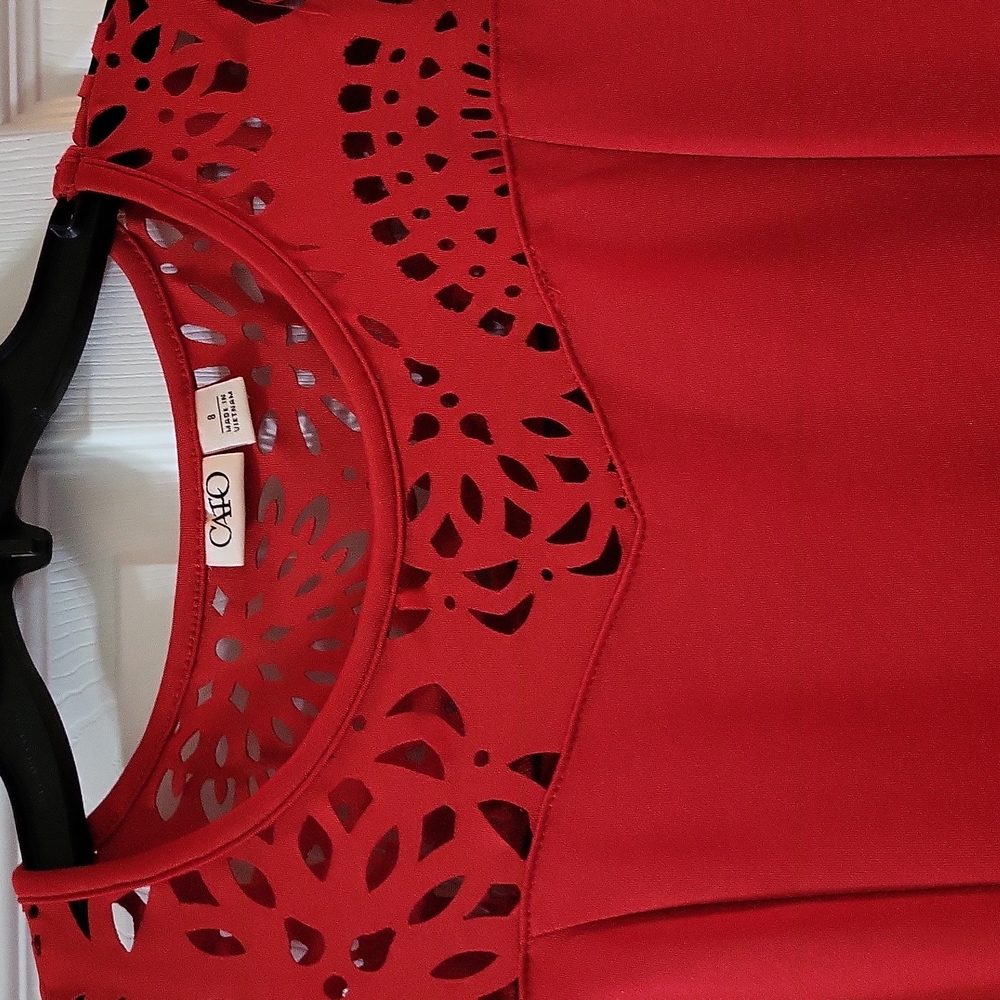 Dress - Picture 2 of 3